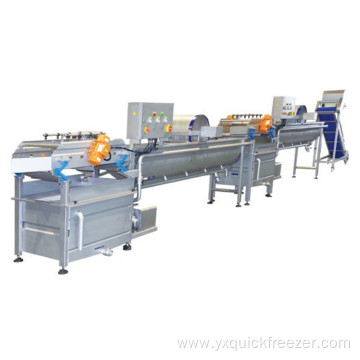 Fruit And Vegetable Process Machines